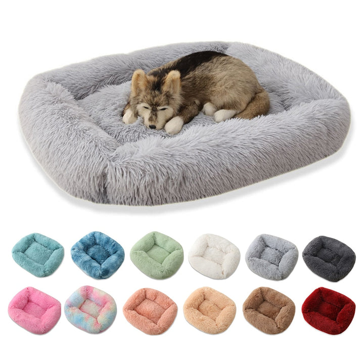 Long plush pet bed best sale